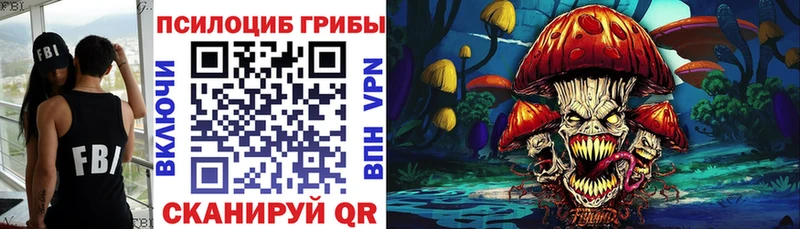 Купить где  Крымск  Галлюциногенные грибы GOLDEN TEACHER 