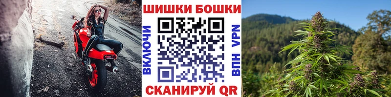 Купить где  Крымск  Конопля ГИДРОПОН 